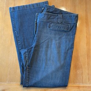 Ann Taylor Signature Jeans 18 EUC